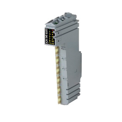 12 Digital Outputs with 1-Wire Connections and Integrated Protection B R X20DO9322