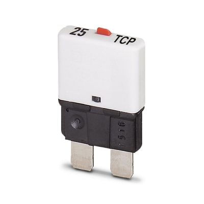Thermal Magnetic Device Circuit Breakers 2 Poles Number and Magnetic for TCP 25/DC32V