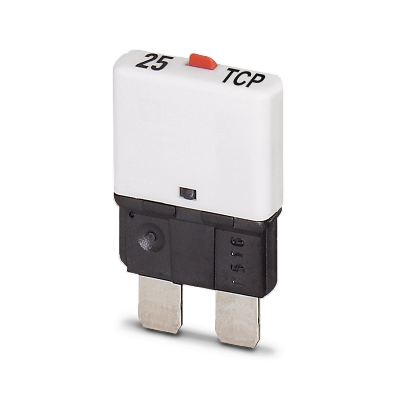 Thermal Magnetic Device Circuit Breakers 2 Poles Number and Magnetic for TCP 25/DC32V